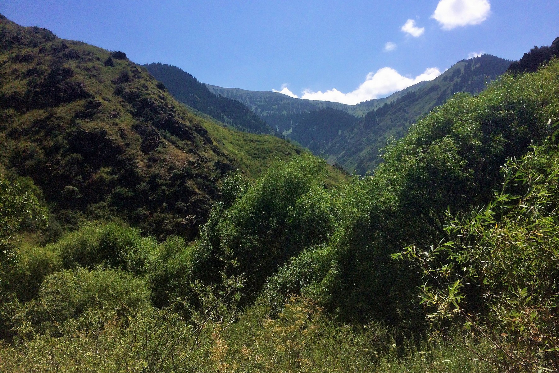 turgen-gorge-10
