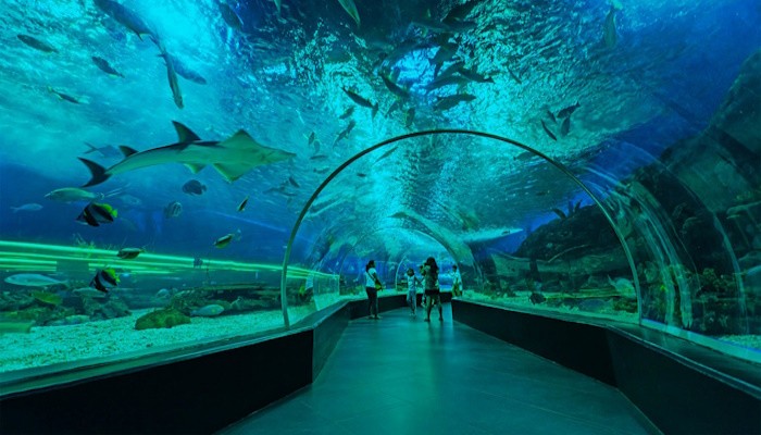 ailand-entertainment-complex-10