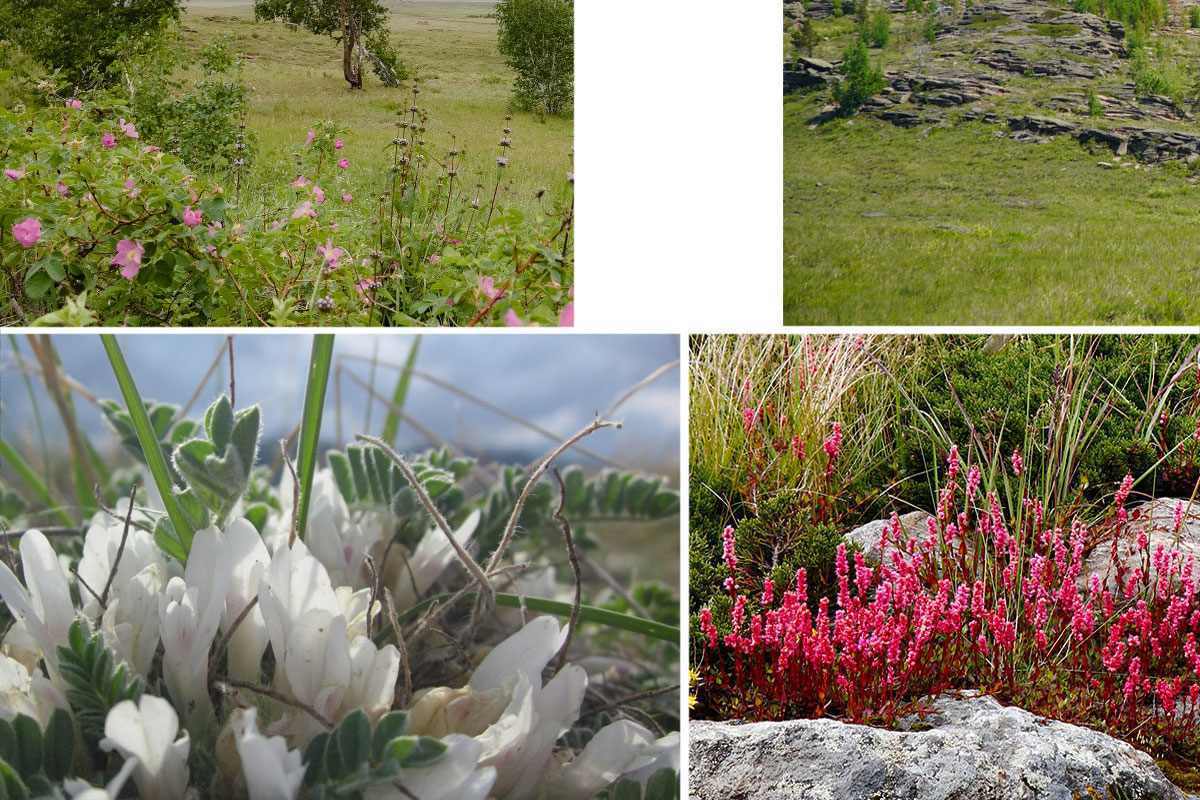 buiratau-nature-park-north-05