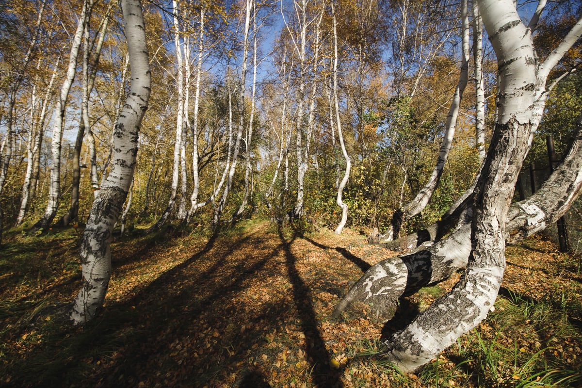 burabay-national-park-10