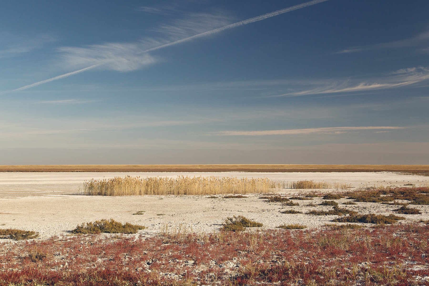 korgalzhyn-nature-reserve-04