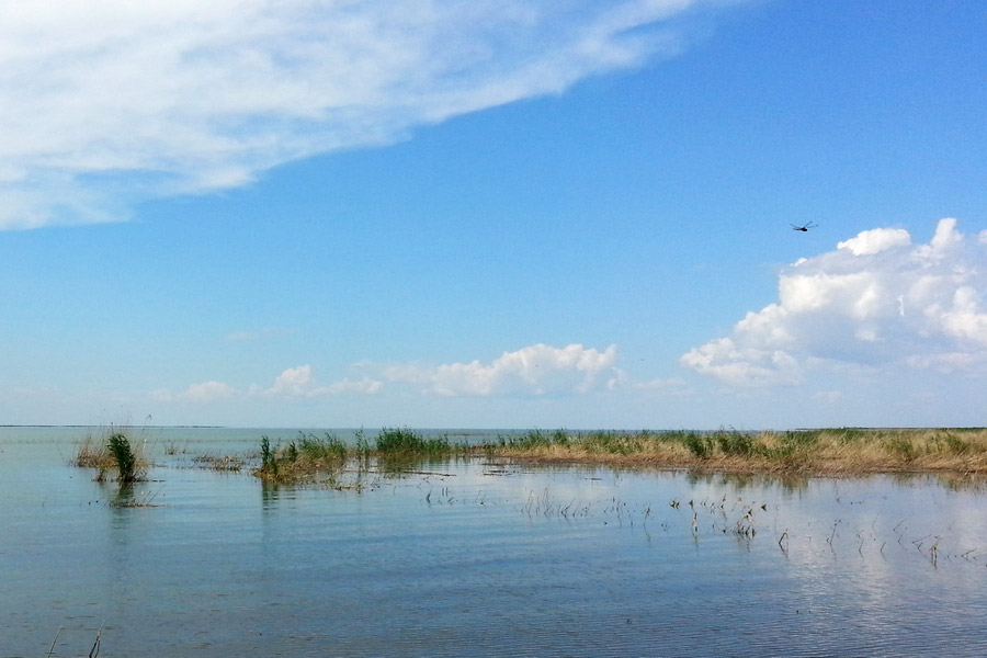 korgalzhyn-nature-reserve-09
