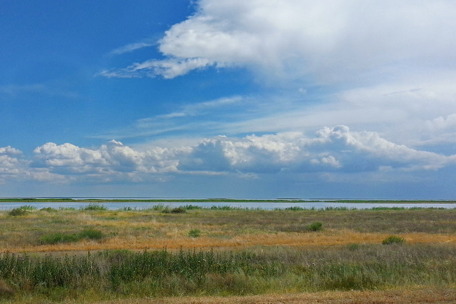 korgalzhyn-nature-reserve-10