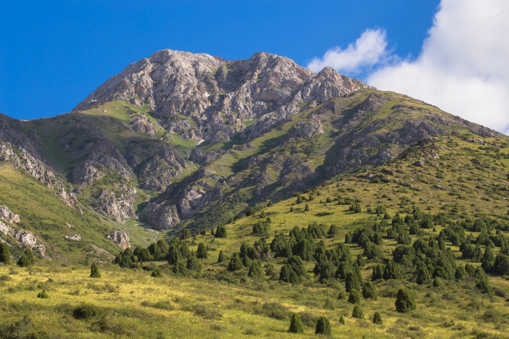 aksu-zhabagly-reserve-03