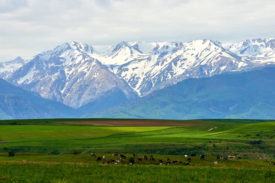 aksu-zhabagly-reserve-05