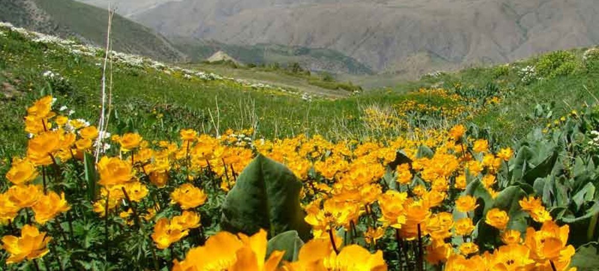 aksu-zhabagly-reserve-06