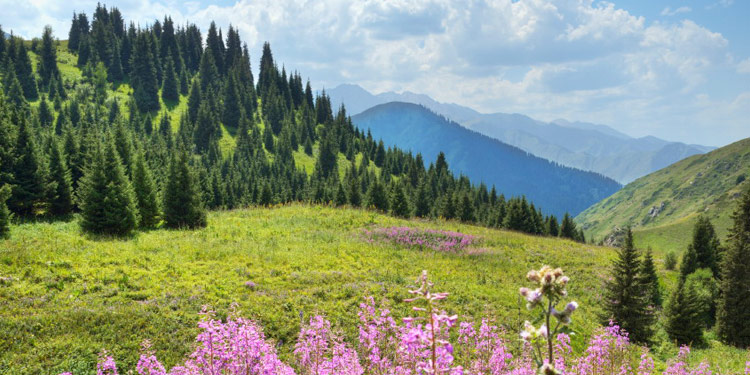aksu-zhabagly-reserve-11