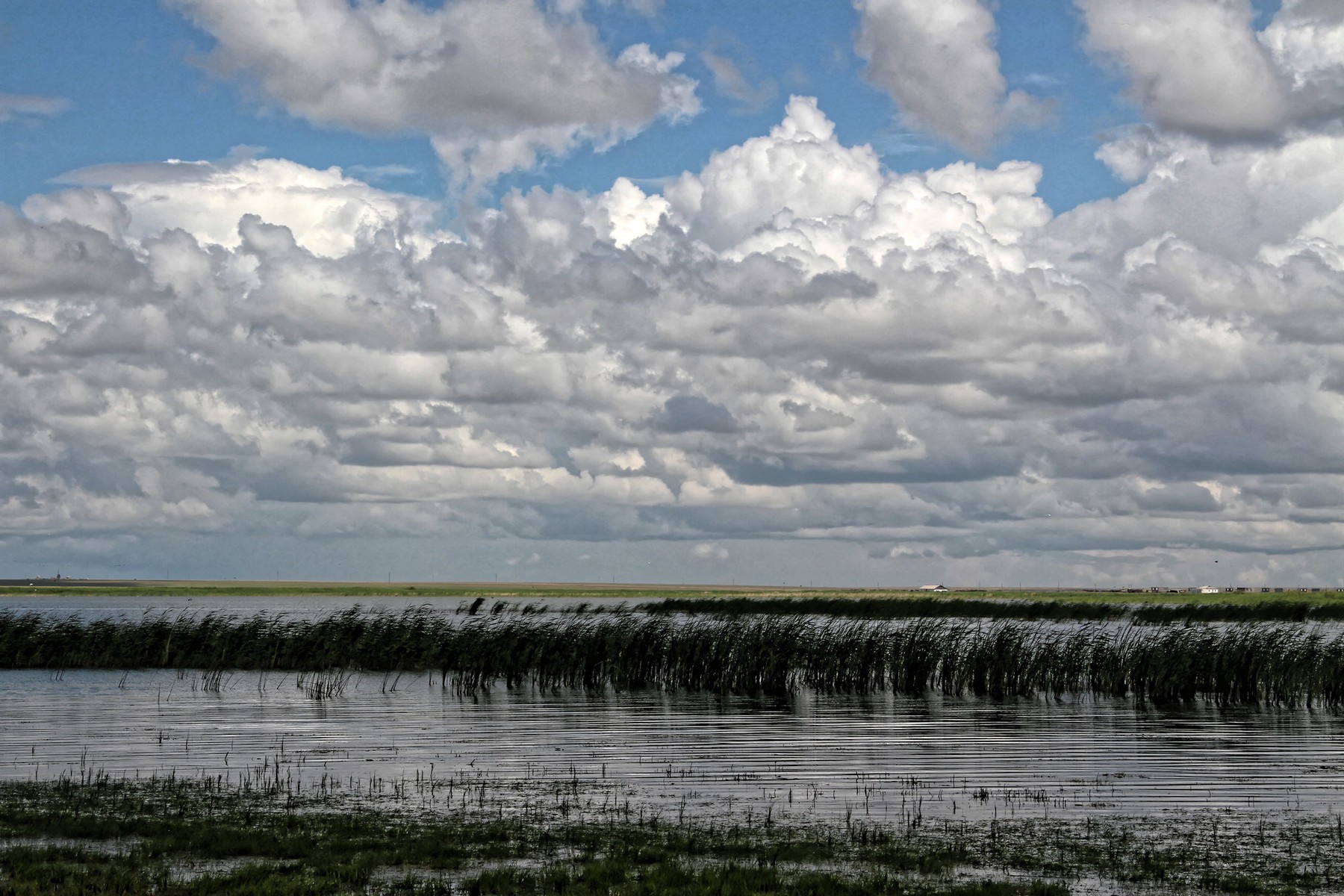 korgalzhyn-nature-reserve-12