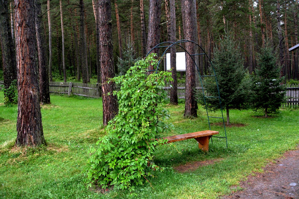 altai-botanical-garden-14