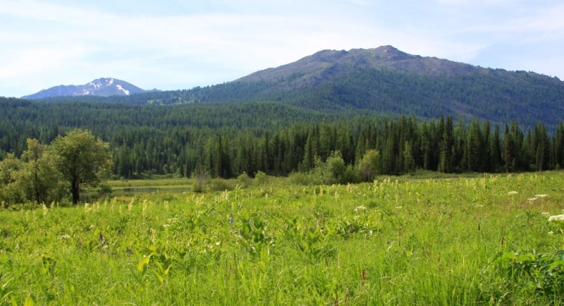 katon-karagay-national-park-13