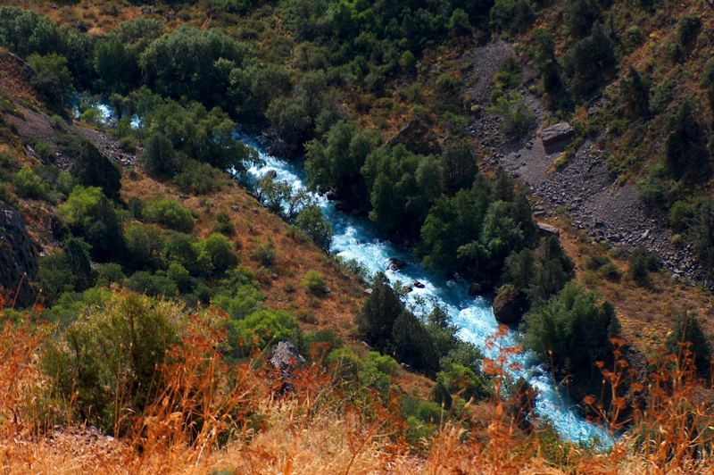 aksu-zhabagly-reserve-15