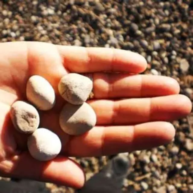 Bese Tas — Five Stones