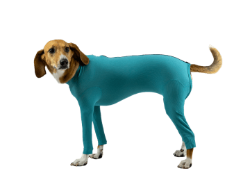 VetMedCare Body Til Hund Med Bein Og Glidelås M, 1 stk