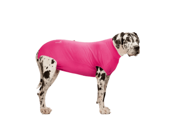 VetHelp RecoveryBody Str 11 Tispe, 1 stk