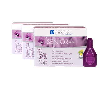 Dermoscent Senior Spot-On (20–40 kg), 4 pipetter à 2,4 ml