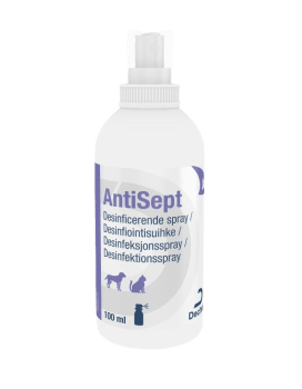 Antisept Spray, 100 ml
