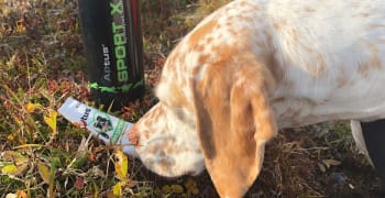 Er hunden din klar for jakt? - Her er vår sjekkliste