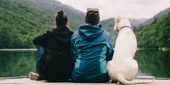 Ferie med hund i sommer? 5 ting du må pakke!