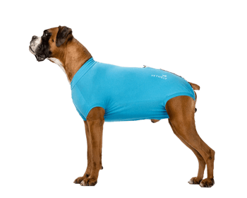 VetHelp RecoveryBody Str 9 Hannhund, 1 stk