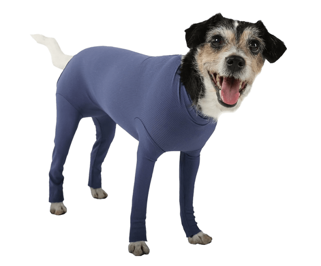 VetMedCare Body Til Hund Med Bein Female M, 1 stk