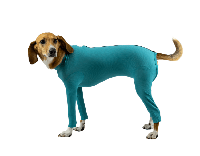 VetMedCare Body Til Hund Med Bein Og Glidelås XS, 1 stk