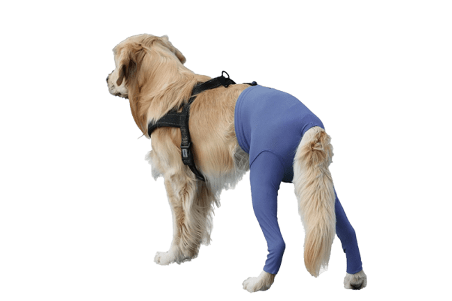 VetMedCare Bakbeinsbeskytter Til Hund XS/S, 1 stk