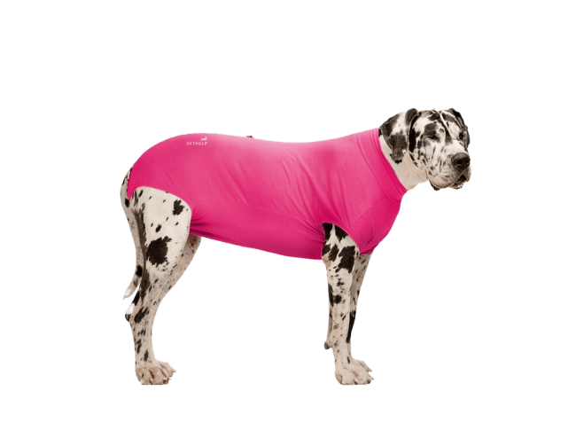 VetHelp RecoveryBody Str D4 Tispe, 1 stk