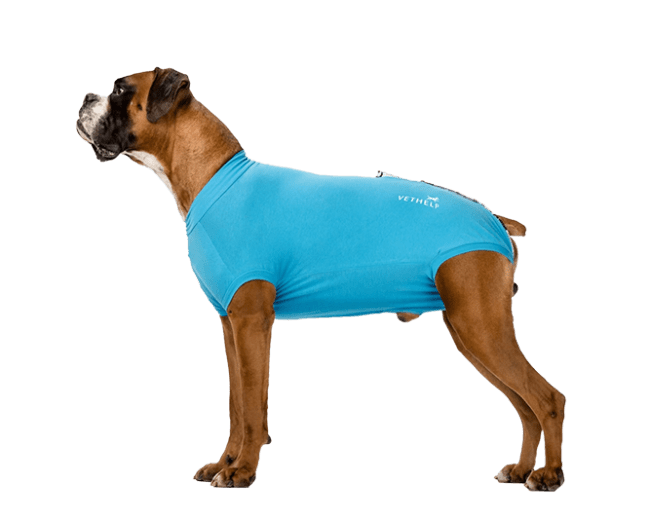 VetHelp RecoveryBody Str D6 Hannhund, 1 stk