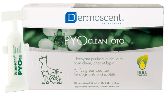 Dermoscent Pyoclean® Oto Hund, 10x5 ml