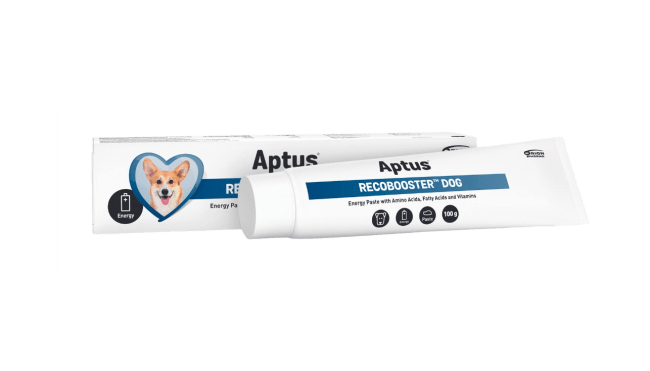 Aptus Recobooster Dog, 100 g