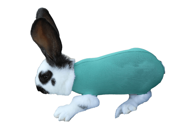 VetMedCare Beskyttelsesstrømpe Til Smådyr Konisk, 1 stk