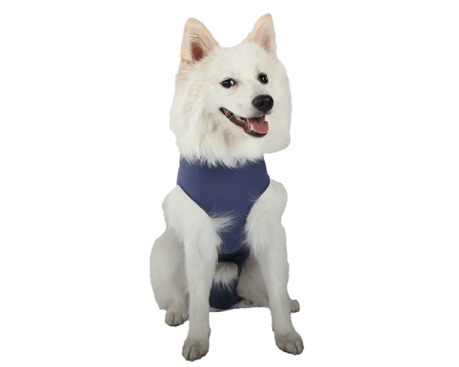 VetMedCare Body Til Hund Male L, 1 stk