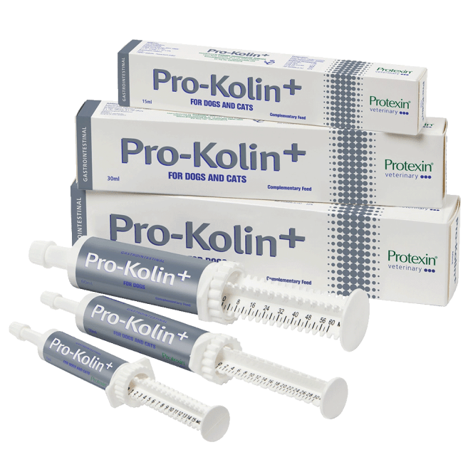 Pro-Kolin+ Pasta, 60 ml