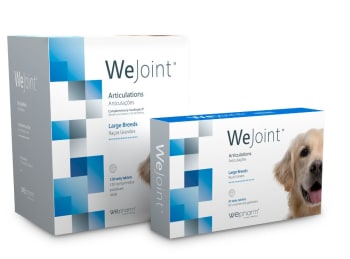 Wepharm WeJoint Fôrtilskudd Stor Hund >25 kg, 4x30 stk