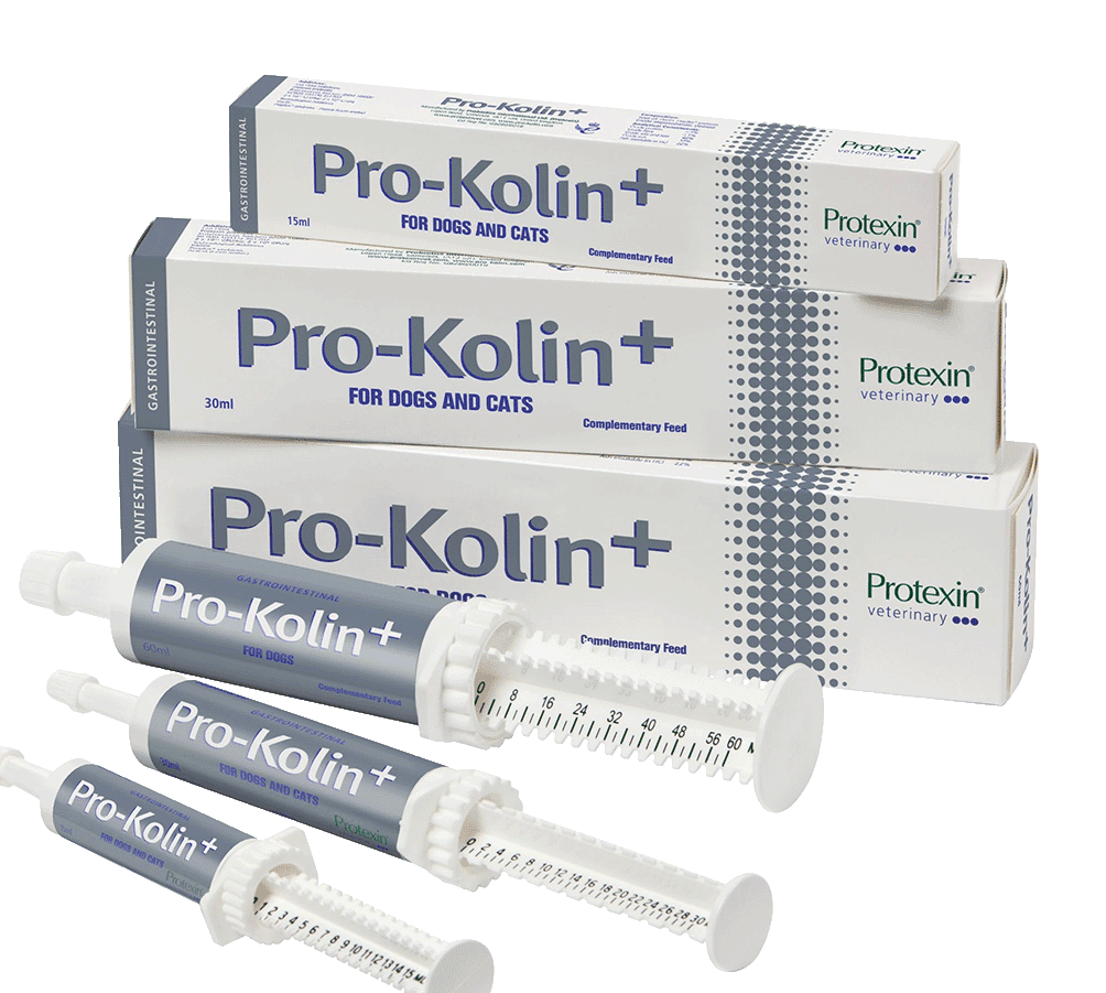 ProKolin+ Pasta, 60 ml VESO Apotek