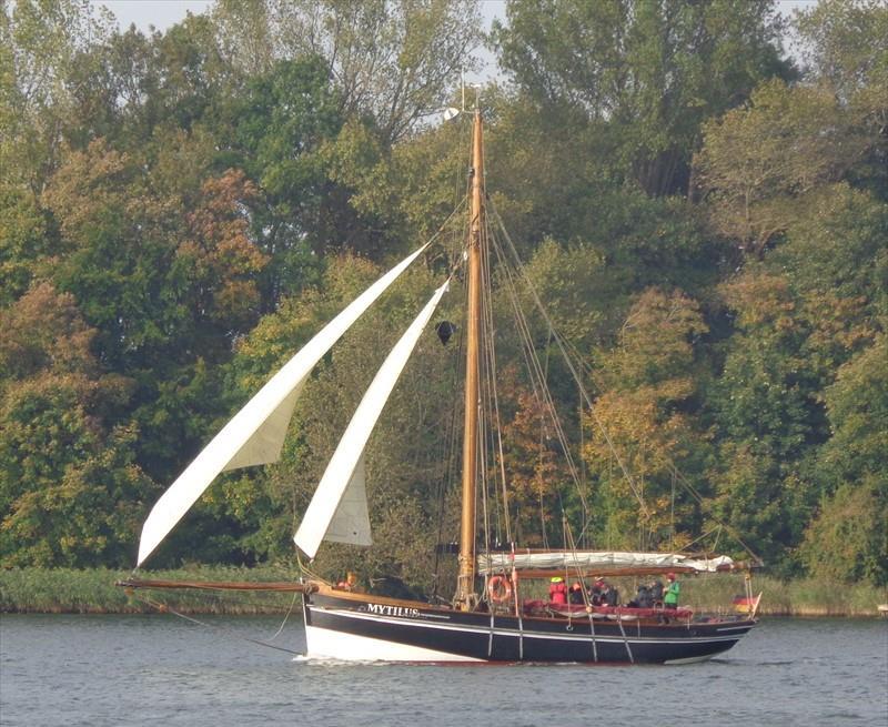 MYTILUS Vesseljoin