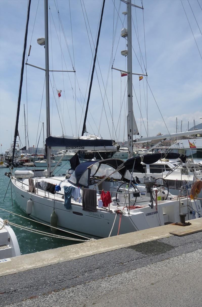 DEMONIO DE TASMANIA - Vesseljoin