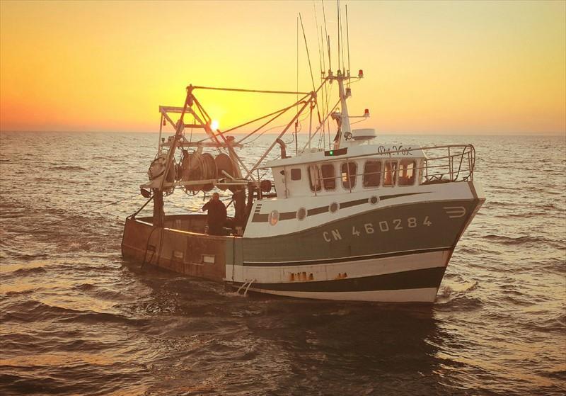 BAYOTA II Vesseljoin