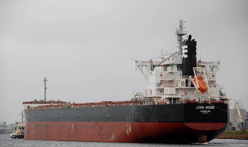 Livia Rose Bulk Carrier Imo 9803352 Vessel Details