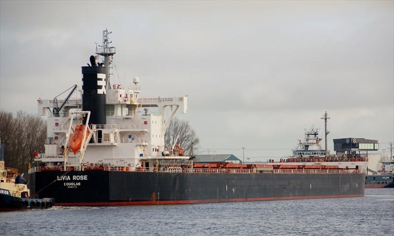 Livia Rose Bulk Carrier Imo 9803352 Vessel Details