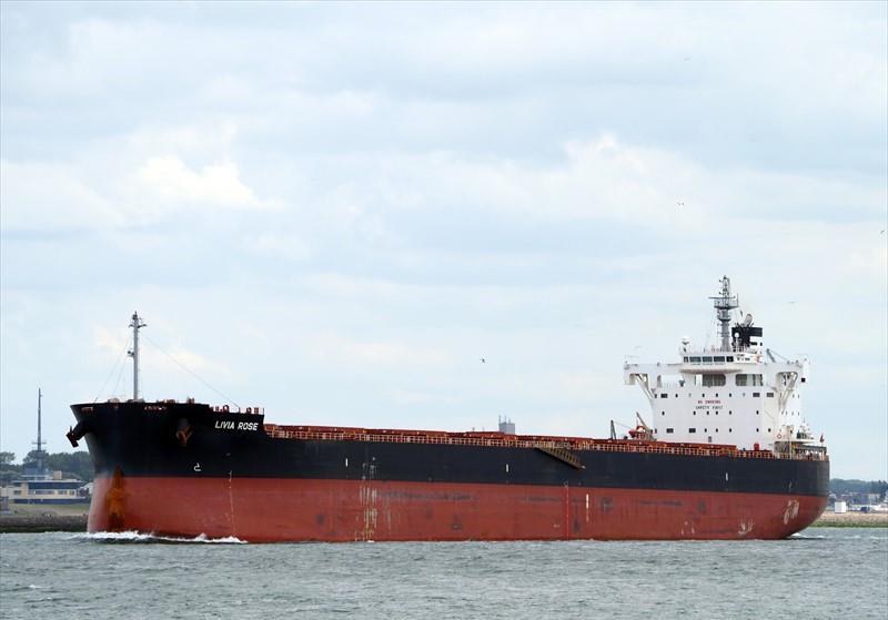 Livia Rose Bulk Carrier Imo 9803352 Vessel Details