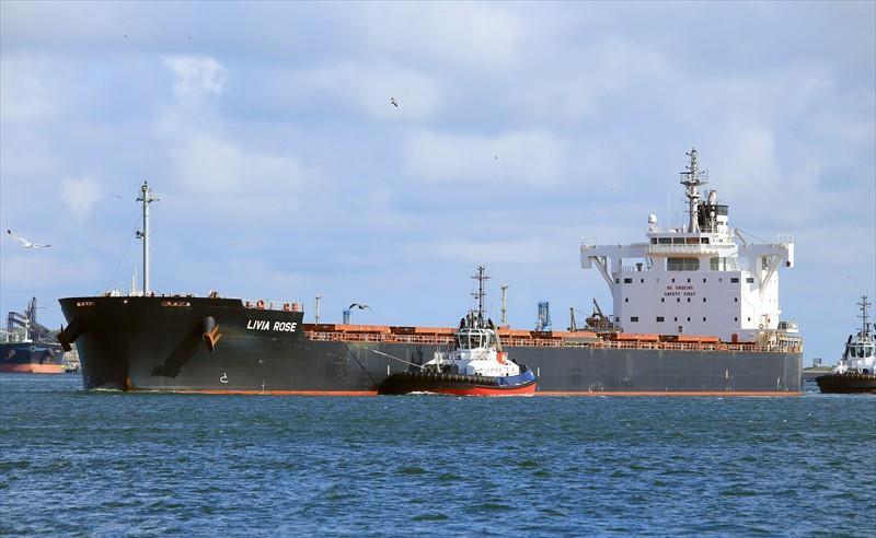 Livia Rose Bulk Carrier Imo 9803352 Vessel Details