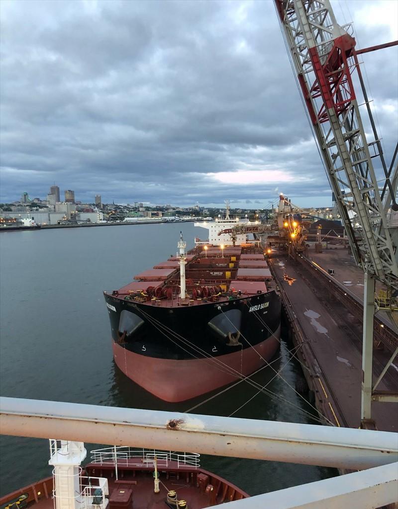 ANGLO SAXON (Bulk Carrier) -  IMO:9448059 | Ship