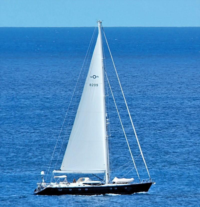 DAMA DE NOCHE Vesseljoin