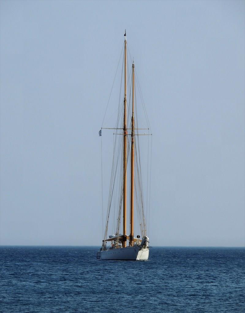 ELENA OF LONDON - Vesseljoin