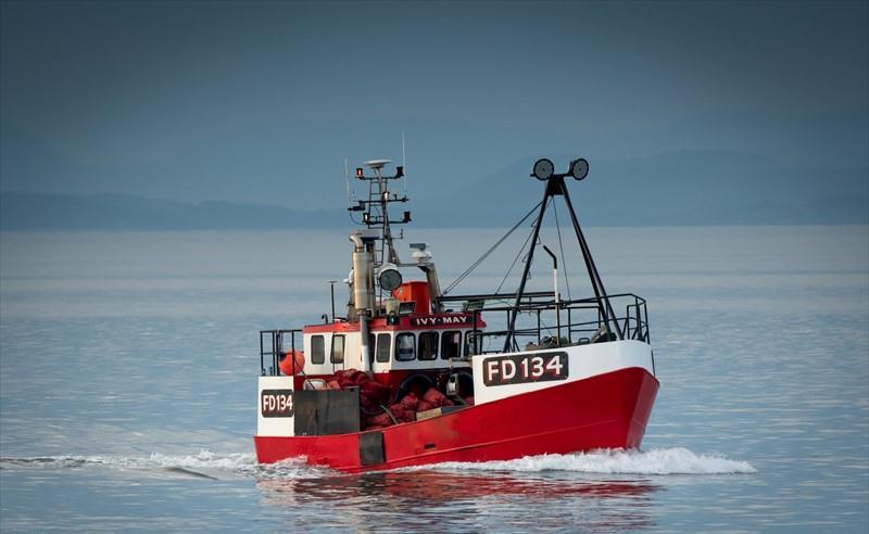 IVY MAY - Vesseljoin