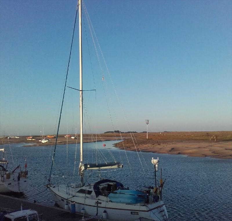 different types of brown sugar