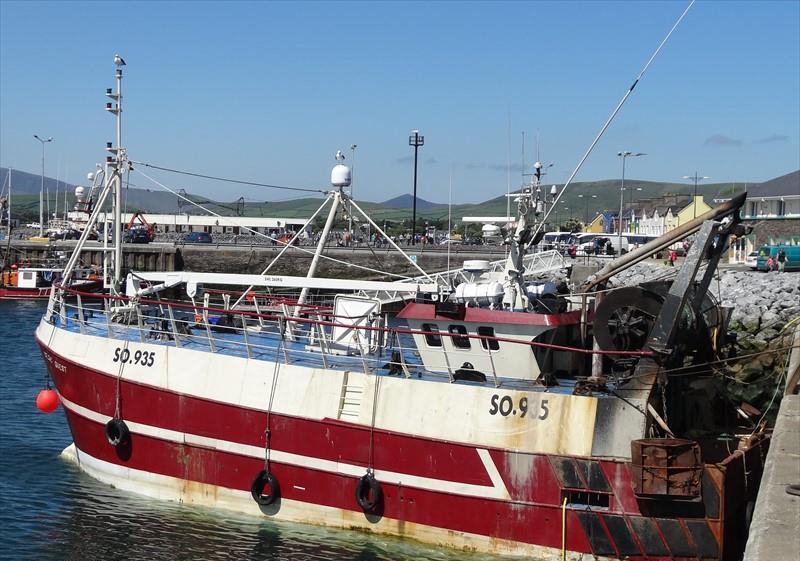 CELTIC QUEST Vesseljoin