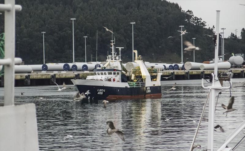 ASTER (Trawler) -  IMO:8647892 | Ship