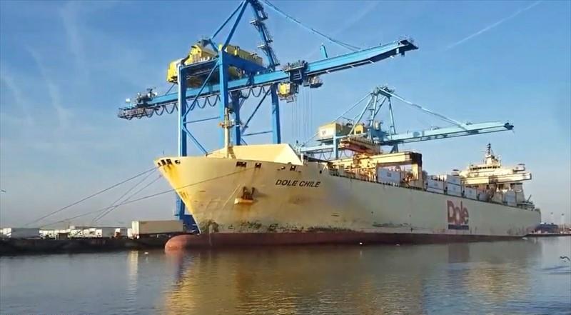 DOLE CHILE - Vesseljoin
